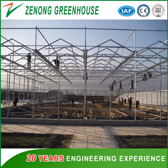 Factory Price Greenhouse Material Galvanized Skeleton for Glass Greenhouse
